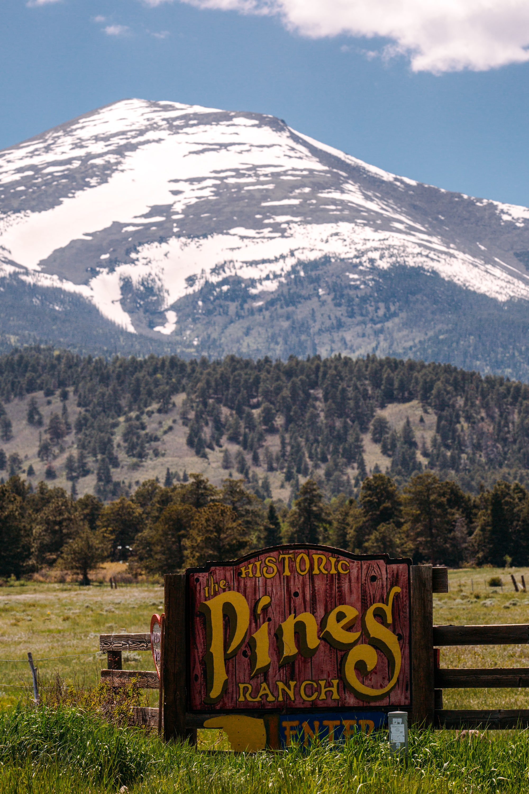 historic pines ranch wedding, colorado lgbt wedding, denver lgbt wedding, colorado lgbt wedding photographer, two brides, colorado gay wedding, colorado lgbt, westcliffe colorado wedding, sangre de cristo mountains colorado, colorado mountain wedding, colorado wedding photographer