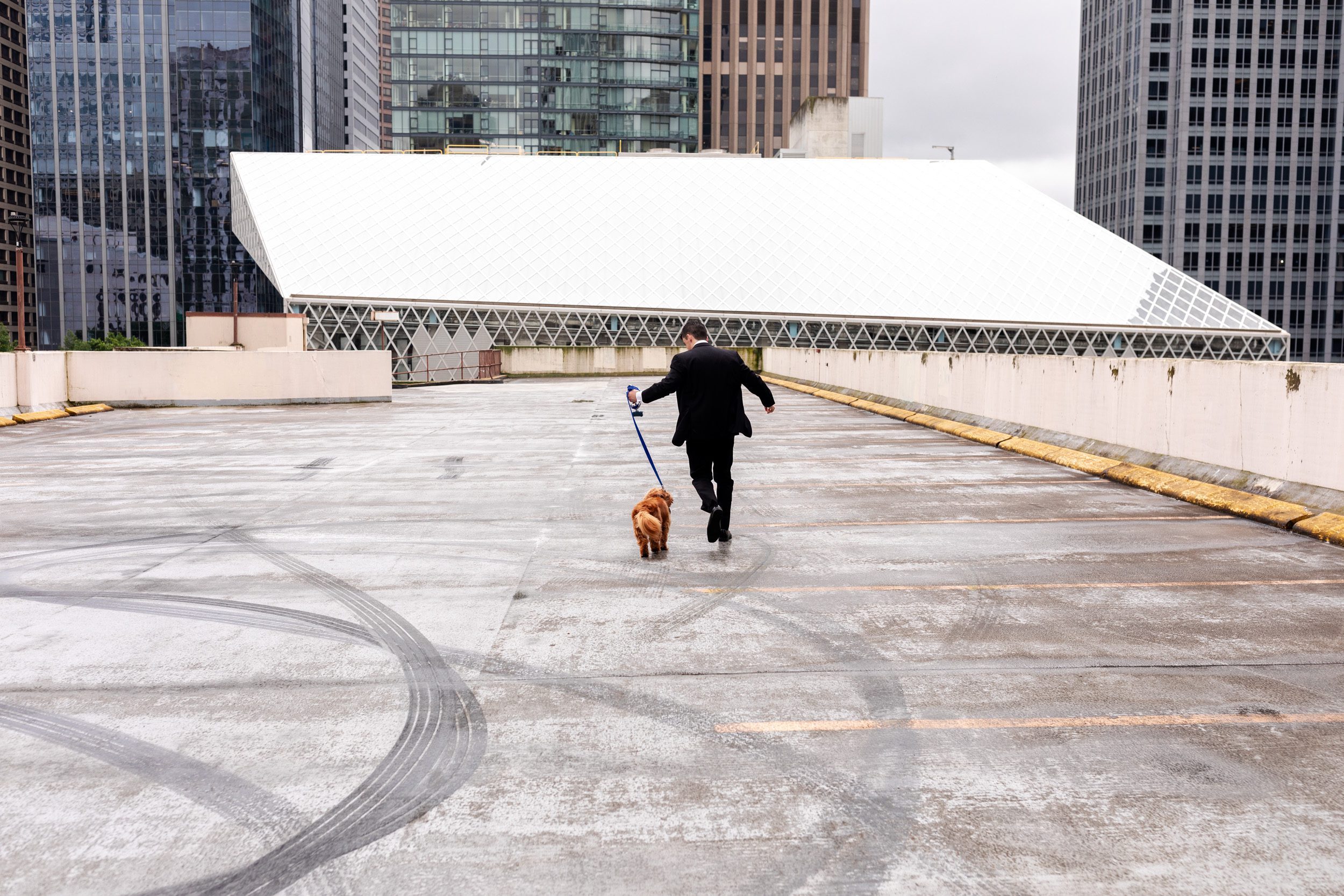 Groomsmen, running with bride and grooms dog before wedding at the Seattle Art Museum on top of a roof top