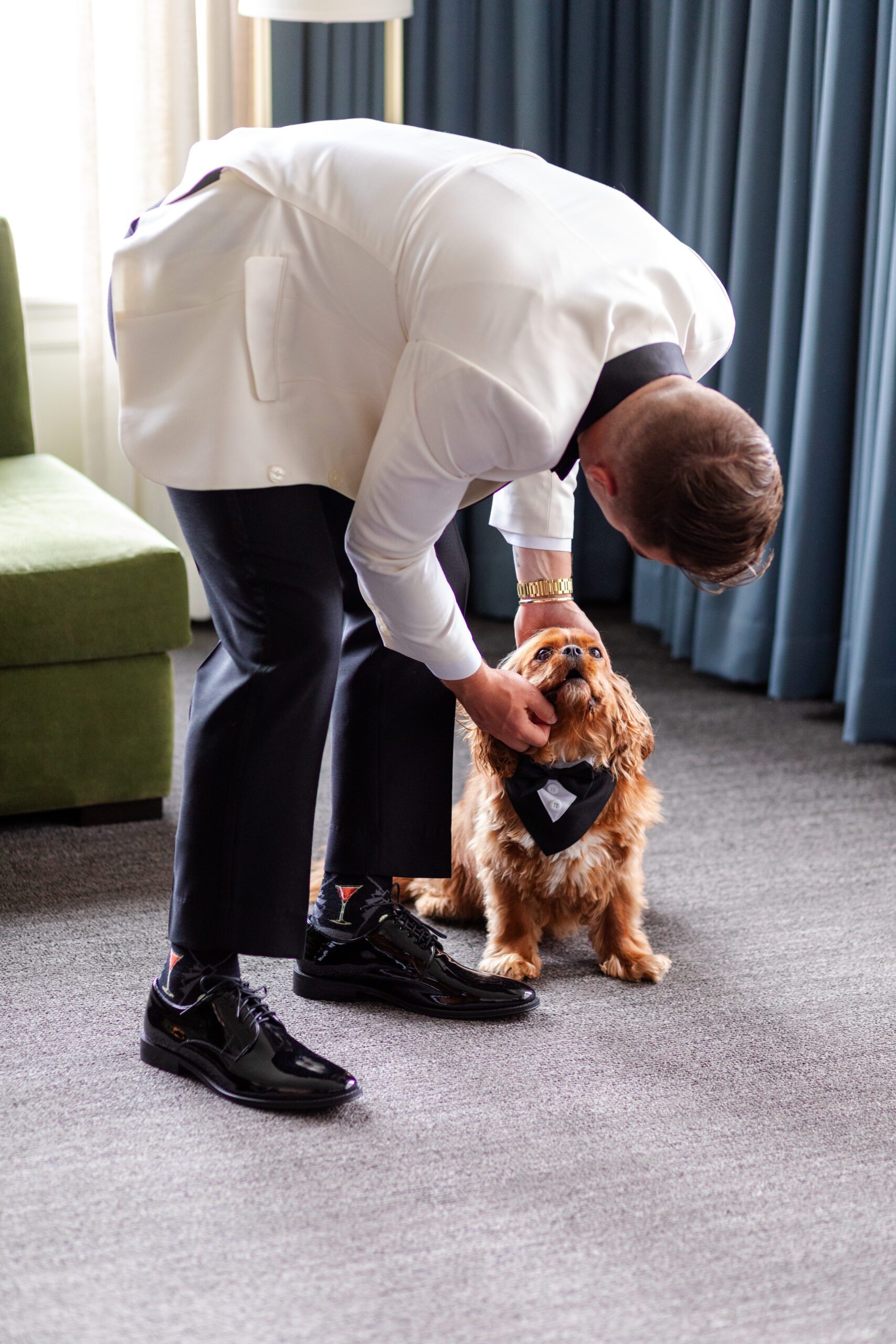 Groom putting best dog collar on dog for wedding, during getting ready at The Alexis Hotel.