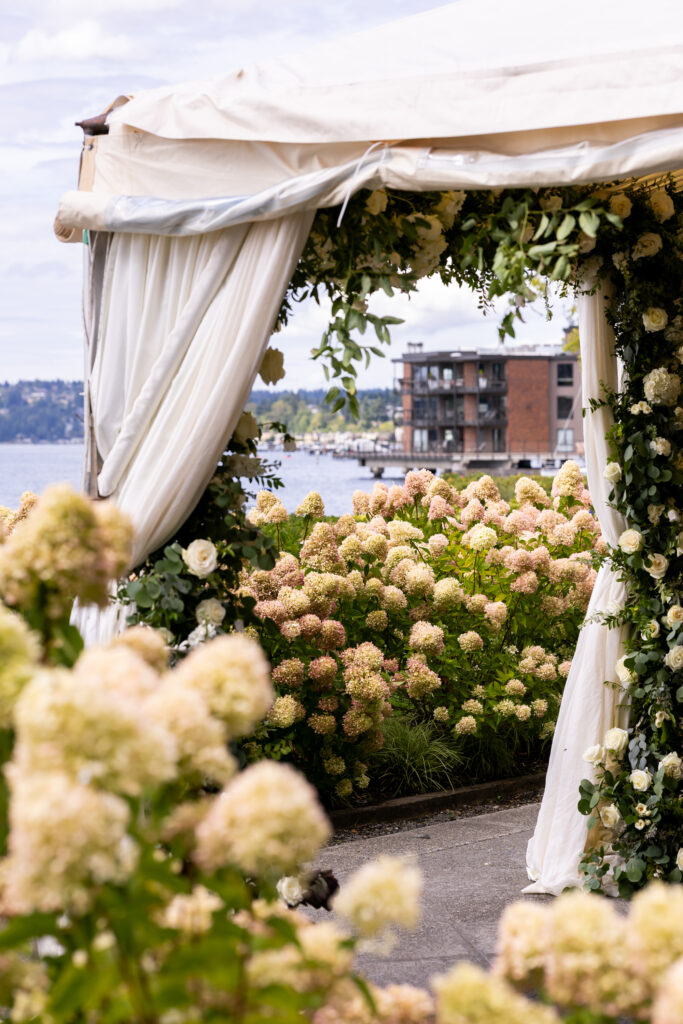Hydrangea flowers at the woodmark hotel