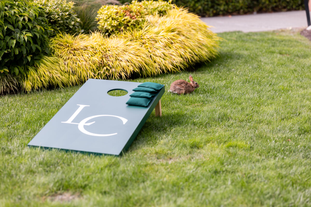 Lawn games with bunny for wedding cocktail hour