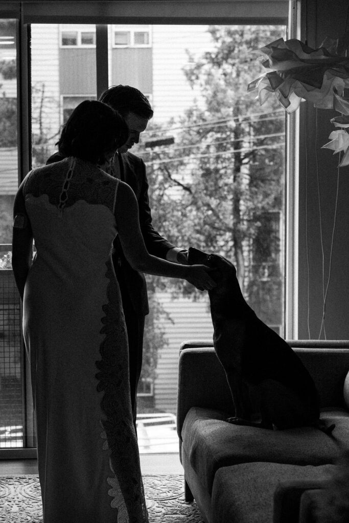 bride and groom pet dog